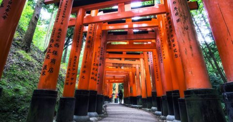 1000 Torii